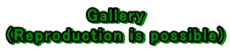 Gallery (Reproduction is possible)