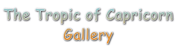 The Tropic of Capricorn Gallery 